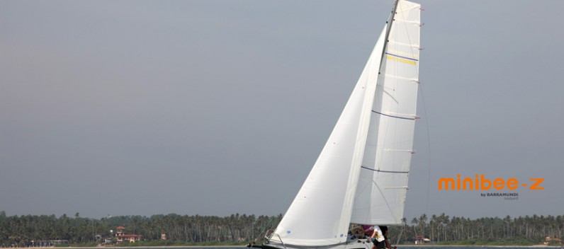 Minibee Z upwind Minibee Z upwind